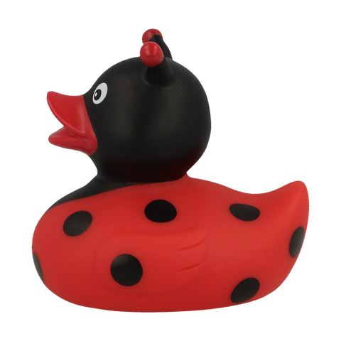 Ladybug Duck