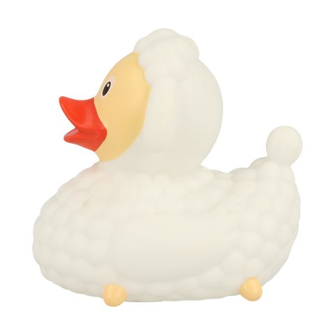 Sheep Duck