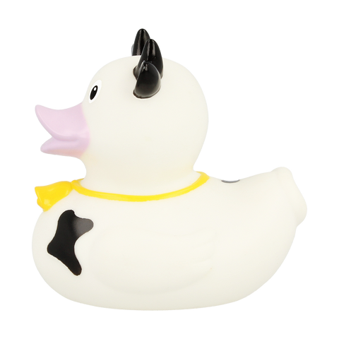Black Cow Duck