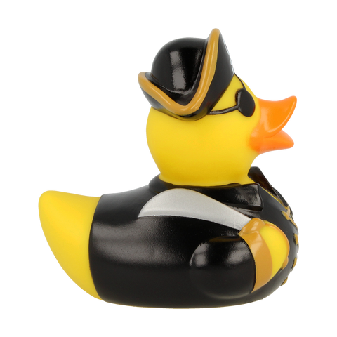 Pirate Duck