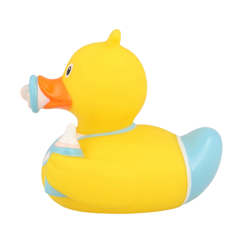 Baby Boy Duck