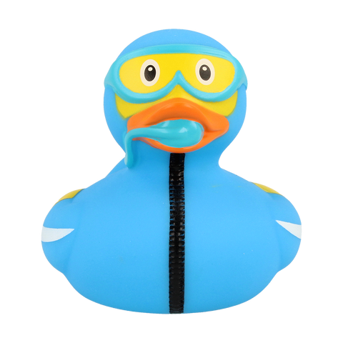 Diver Duck