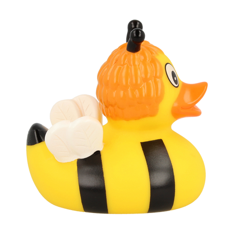 Sushi the Bee Duck