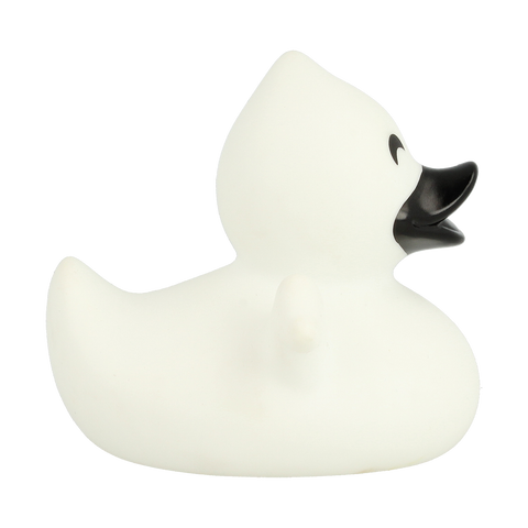 Ghost Duck
