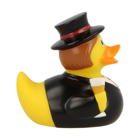 Groom Duck
