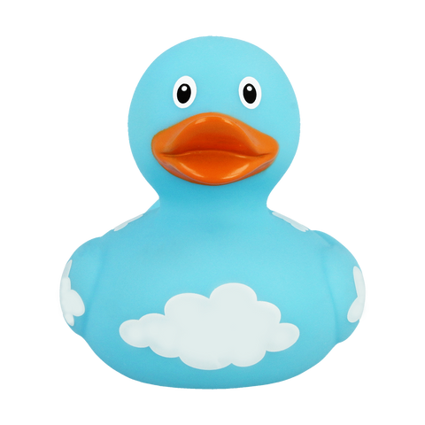 Duck With Clouds