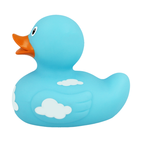 Duck With Clouds