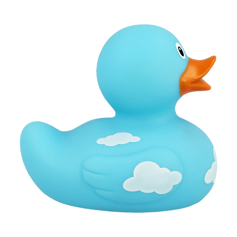 Duck With Clouds