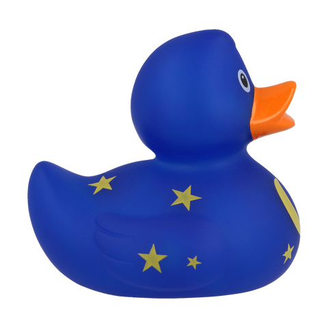 Duck with moon and stars