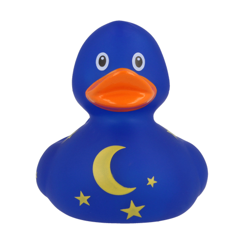 Duck with moon and stars