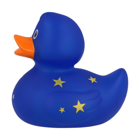 Duck with moon and stars