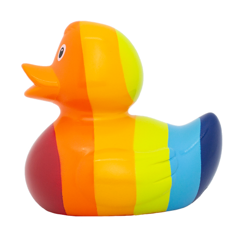 Rainbow Duck