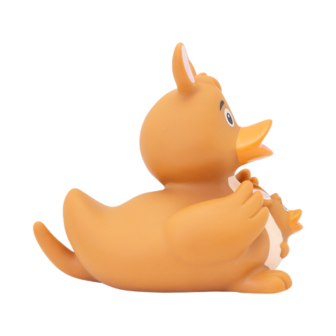 Kangaroo Duck