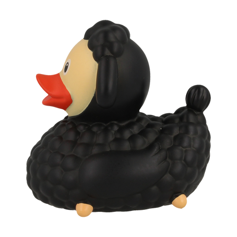 Black Sheep Duck