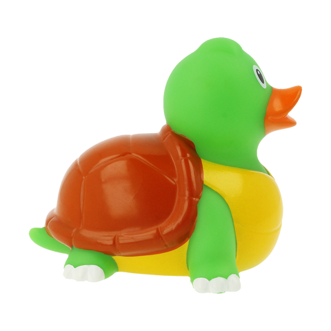 Tortoise Duck