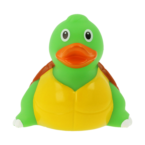 Tortoise Duck