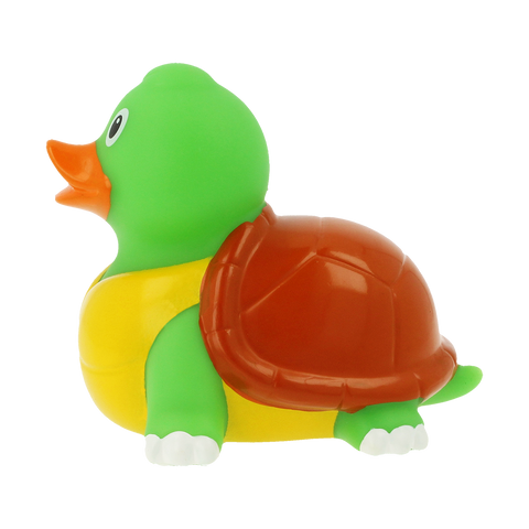 Tortoise Duck