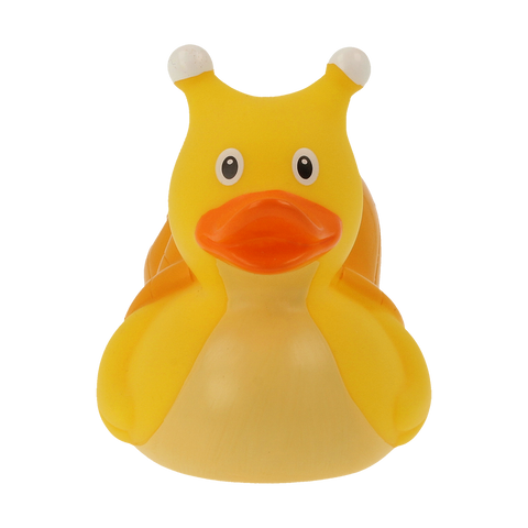 Snail Duck