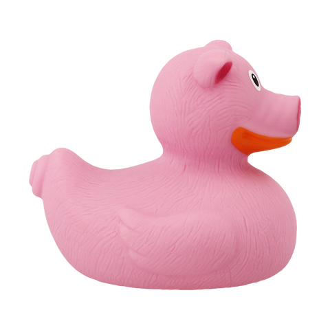 Pig Duck
