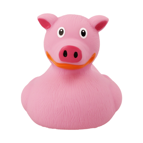 Pig Duck