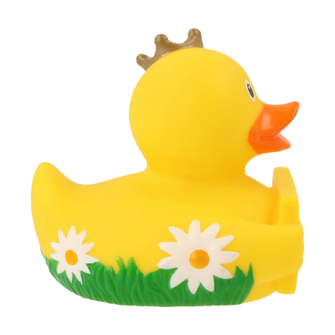 Duck with greeting sign