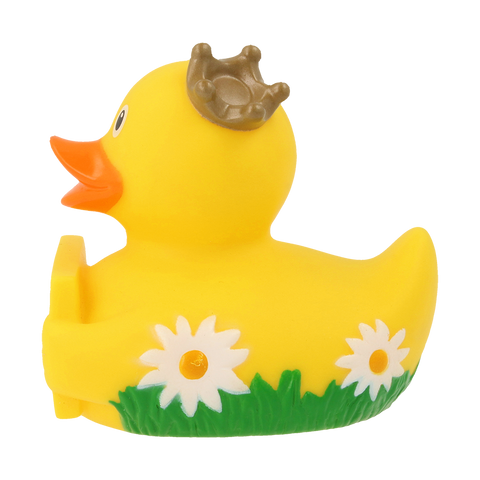 Duck with greeting sign