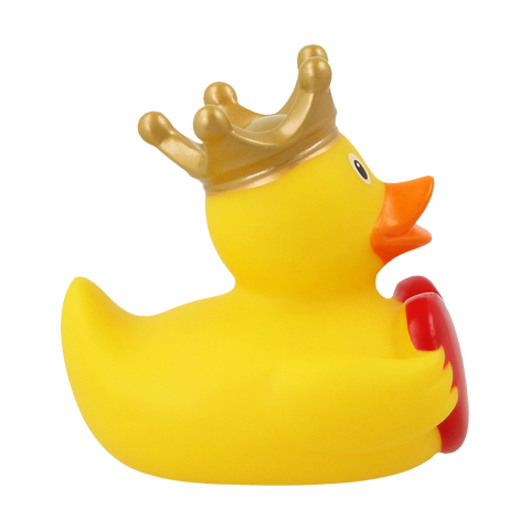 Duck with greeting Heart