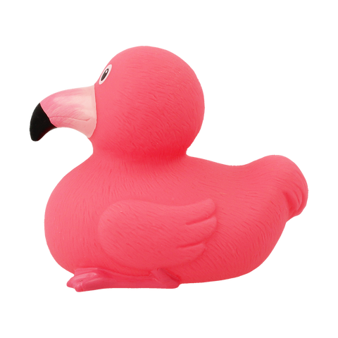 Flamingo Duck