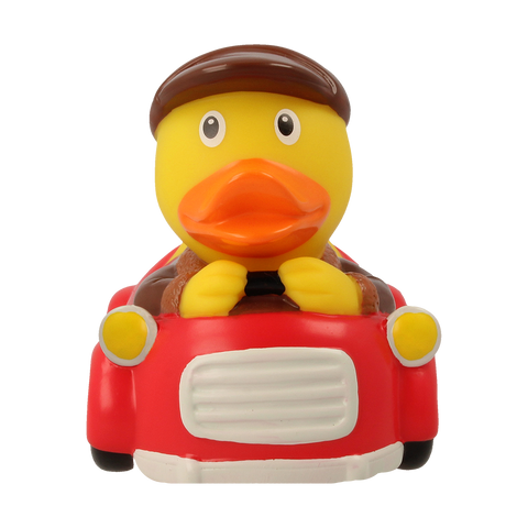Car Driver Duck