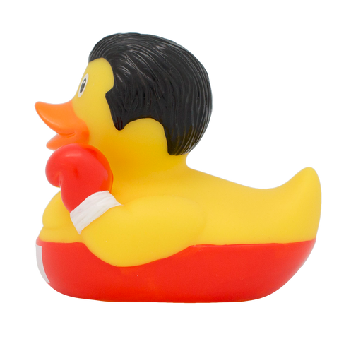 Boxer Duck