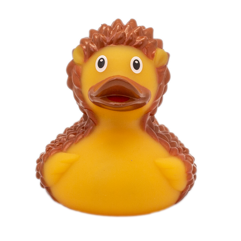 Hedgehog Duck