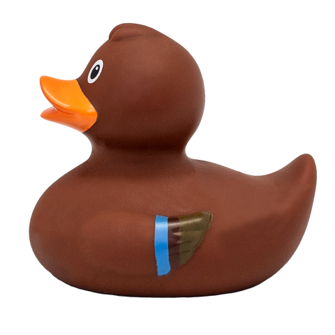 Mommy Duck