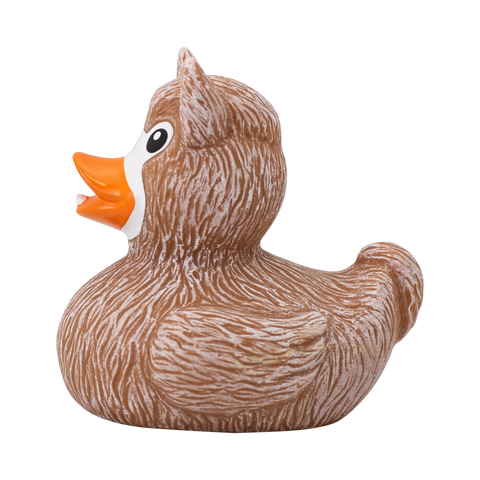 Lama Duck