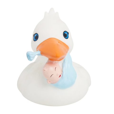 Stork Duck with Baby