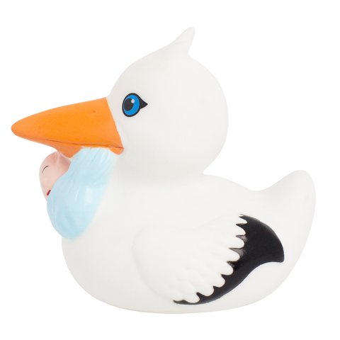 Stork Duck with Baby