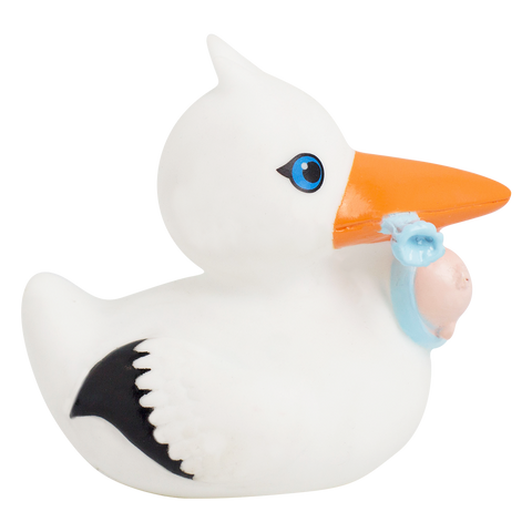 Stork Duck with Baby