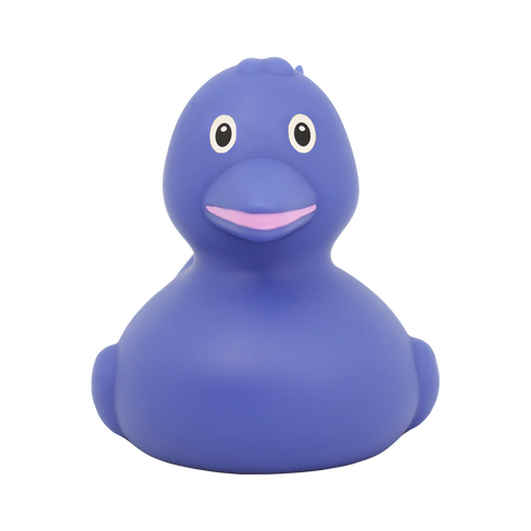 Dolphin Duck