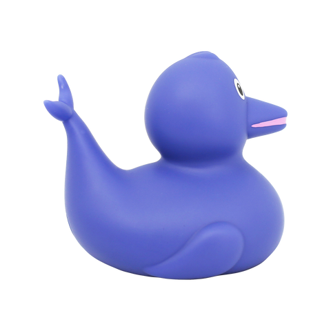 Dolphin Duck