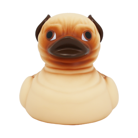 Pug Duck
