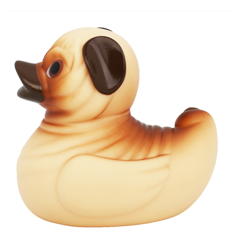 Pug Duck