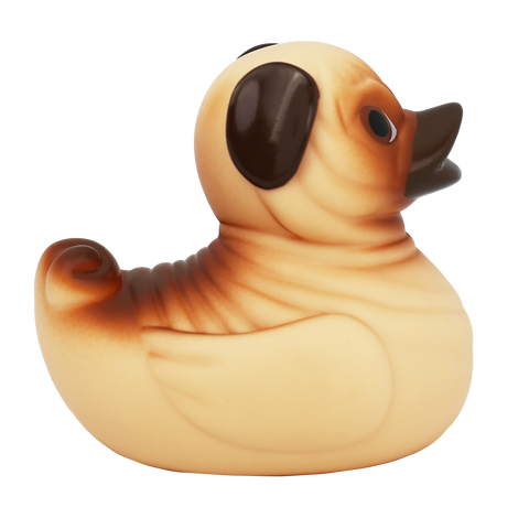 Pug Duck