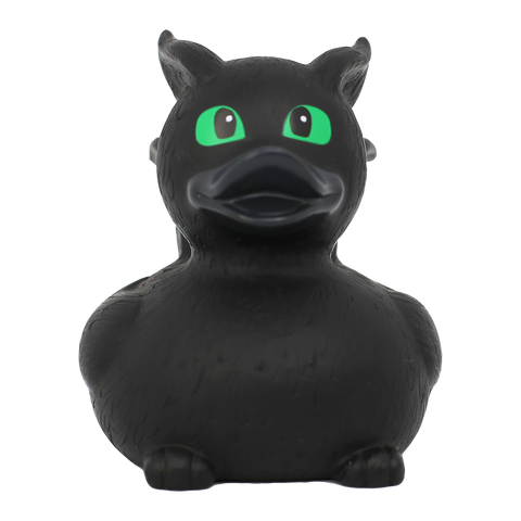 Little Dragon Duck