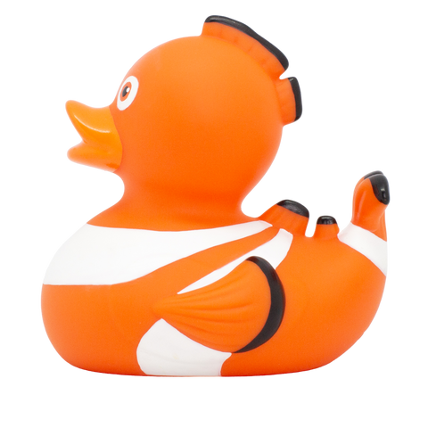 Clown Fish Duck