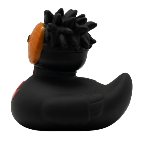 Black Warrior Duck