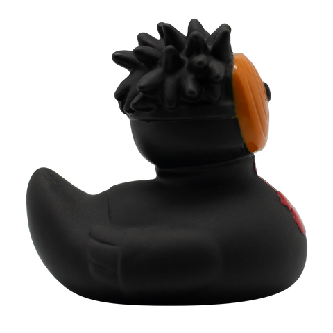 Black Warrior Duck