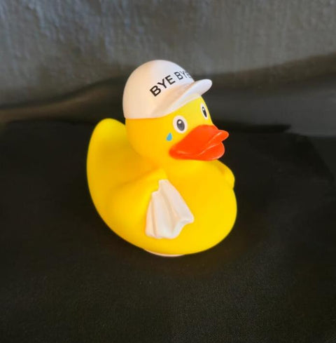 Bye Bye Duck
