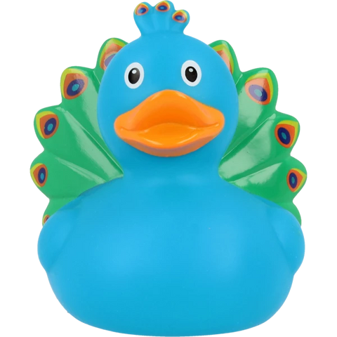 Peacock Duck