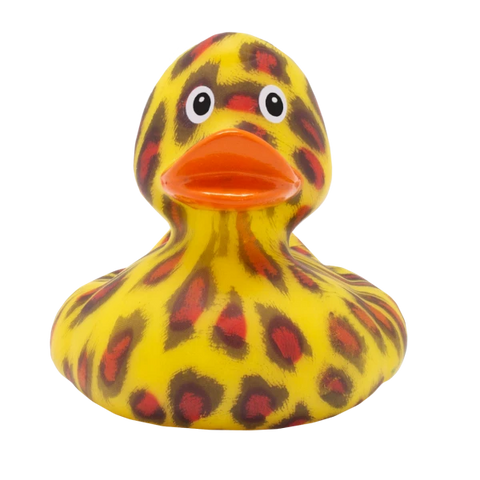 Like a wild cat Duck